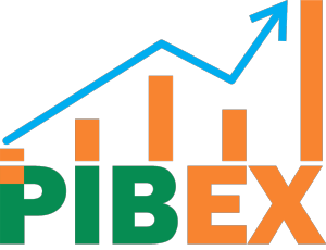Logo Pibex