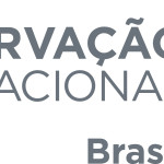 Logo CI-Brasil
