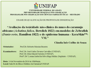 2016-11-14 10h00 - Qualificacao - Claudia Ines Coelho de Souza