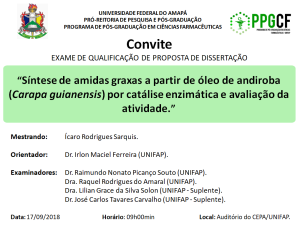 2018-09-17 09h00 - Convite Exame de Qualificacao - Icaro Rodrigues Sarquis