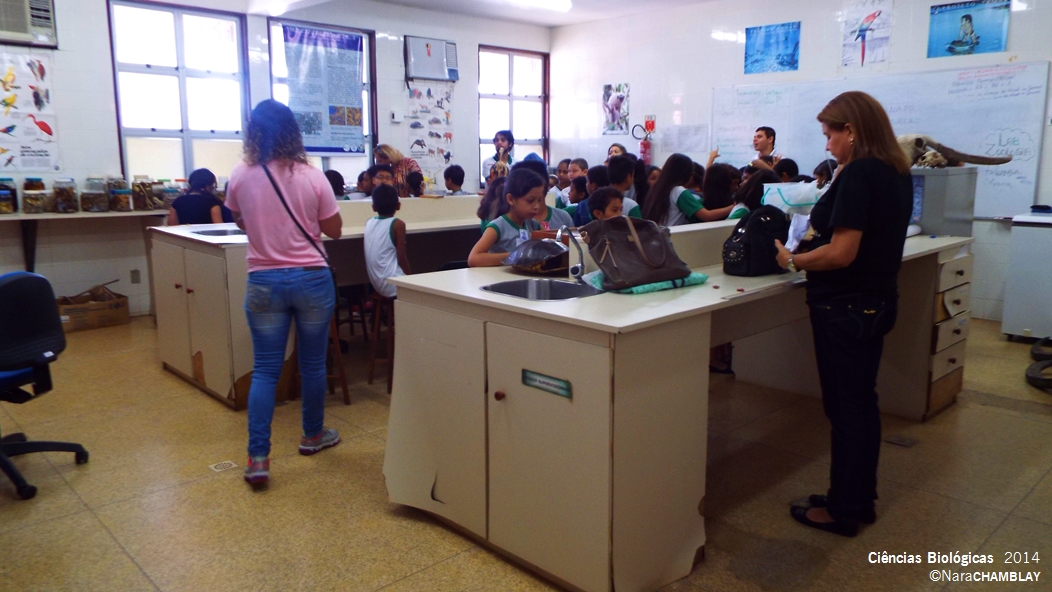 Visita da Escola Modelo Guanabara aos laboratorios de Ciências Biologicas da Unifap