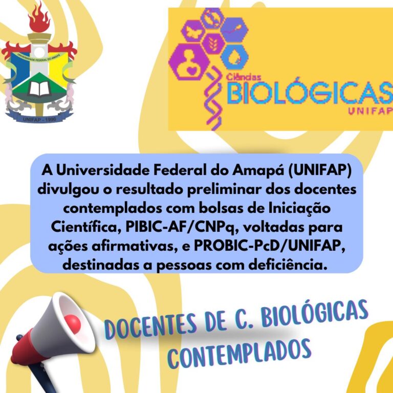 Leia mais sobre o artigo Professores do Curso aprovam Bolsas de IC destinados a ações afirmativas e pessoas com deficiências