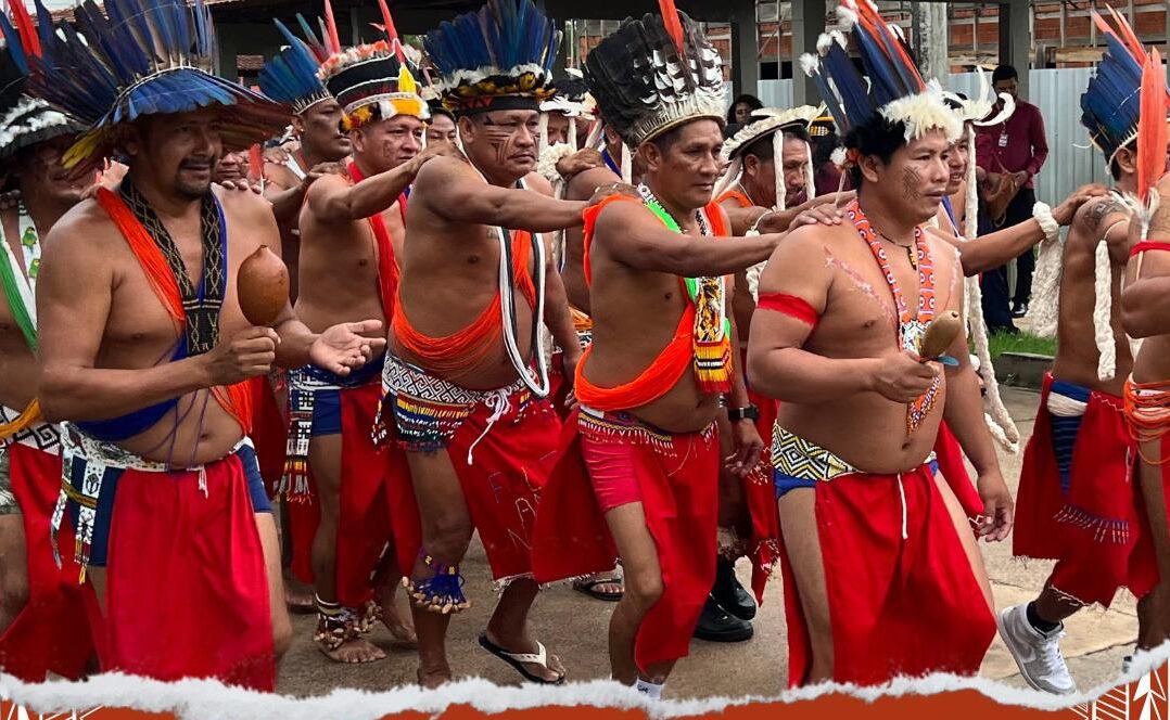 Leia mais sobre o artigo Dia 7 de fevereiro, é celebrado o Dia Nacional de Luta dos Povos Indígenas.