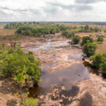 {E32E3C2F-28FA-4EF6-8BB9-D260CF7FBCE6}