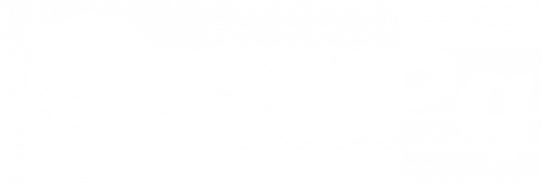 Cnpq-logo-768x261-1.png