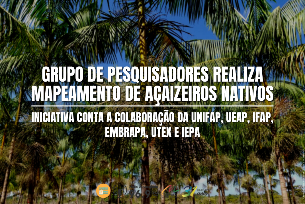 Você está visualizando atualmente Grupo de pesquisadores amapaenses realiza mapeamento de açaizeiros nativos em florestas na costa do Amapá